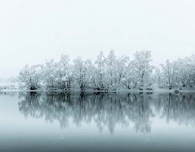 Жеңіліс арқылы жеткен жеңіс: Елдос Сметов феномені