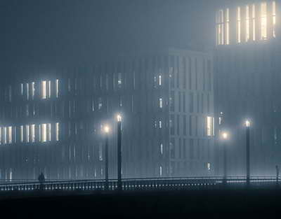 7 мың гектар жер көгалдандырылады – ШҚО