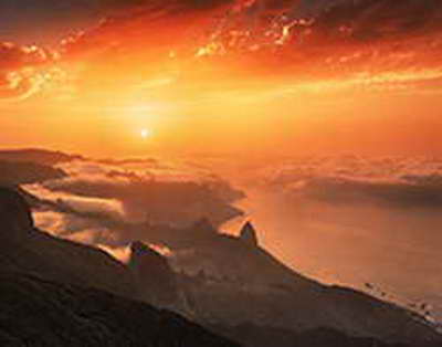 İtlər sahiblərinin xəstəliyini, hamiləliyini və hətta ölümünü hiss edə bilər